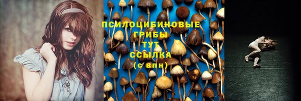 mix Алексин