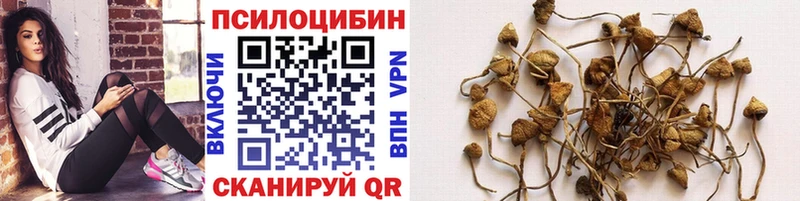Галлюциногенные грибы GOLDEN TEACHER  Орёл 